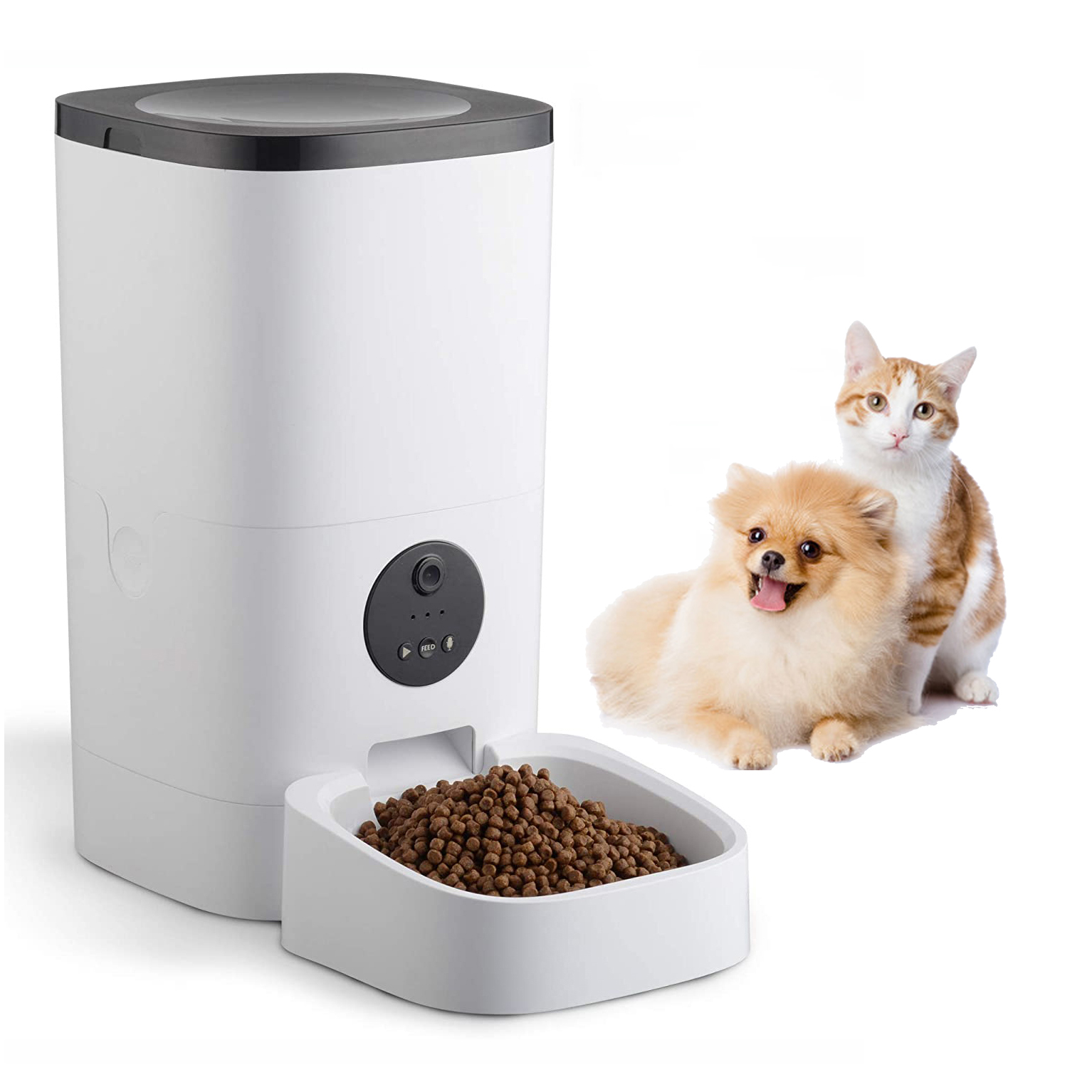 Automatic Pet Feeder