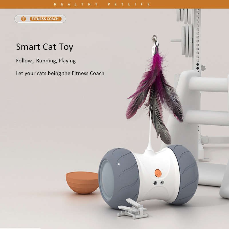 Cat Interactive Toy