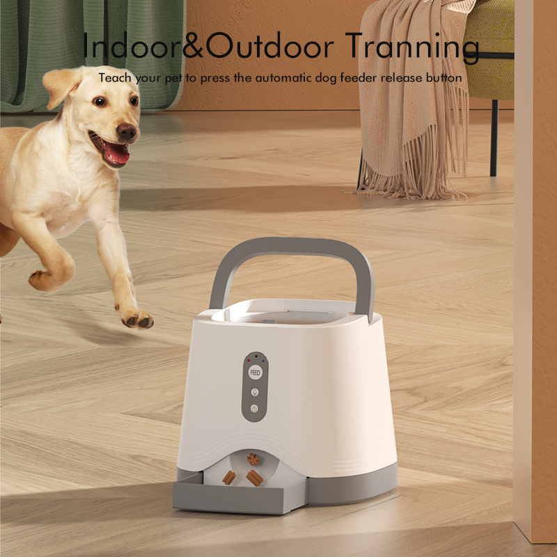 Dog Training Feeder