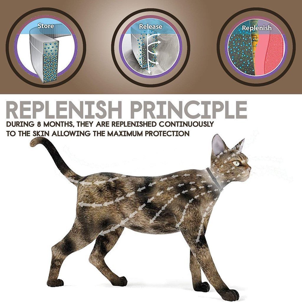 Anti Flea and Tick Collar for Dogs and Cats