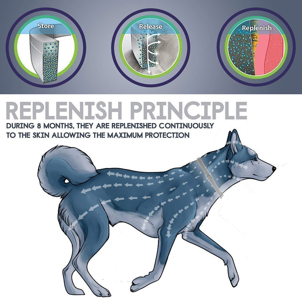 Anti Flea and Tick Collar for Dogs and Cats