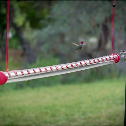 Bob's Best Hummingbird Feeder