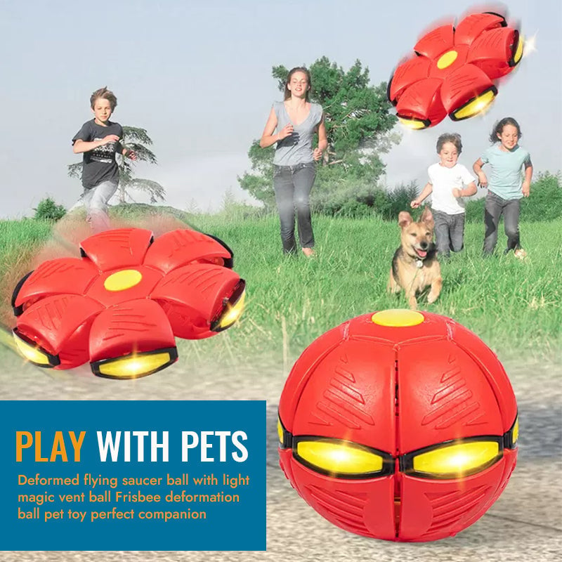 🐾Pet Toy Flying Saucer Ball🔥Buy 2 Get Extra 10% OFF
