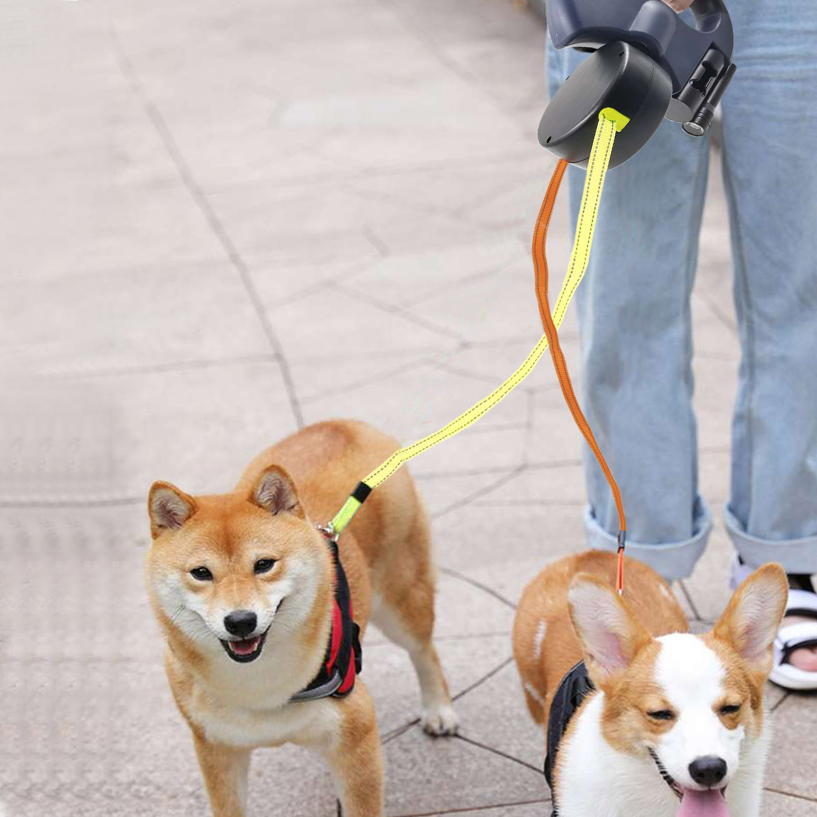 Dual Lighted Retractable Leash