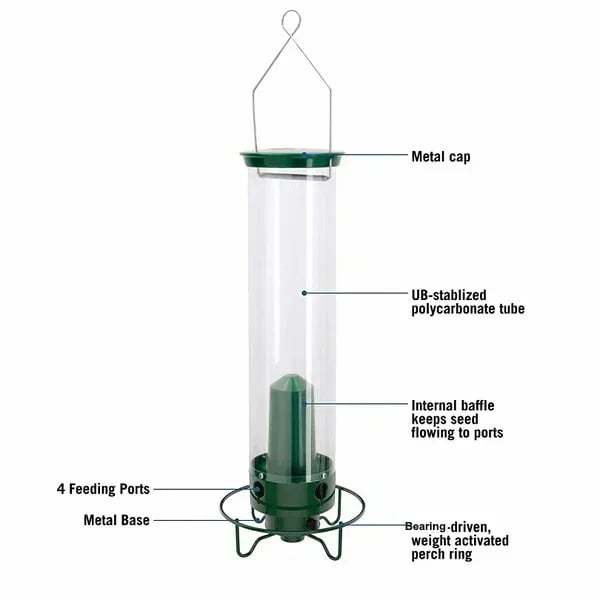 🔥BIG SALE 58% OFF🔥Squirrel-Proof Bird Feeder (🎁BUY 2 EXTRA SAVE 10% OFF & FREE SHIPPING)
