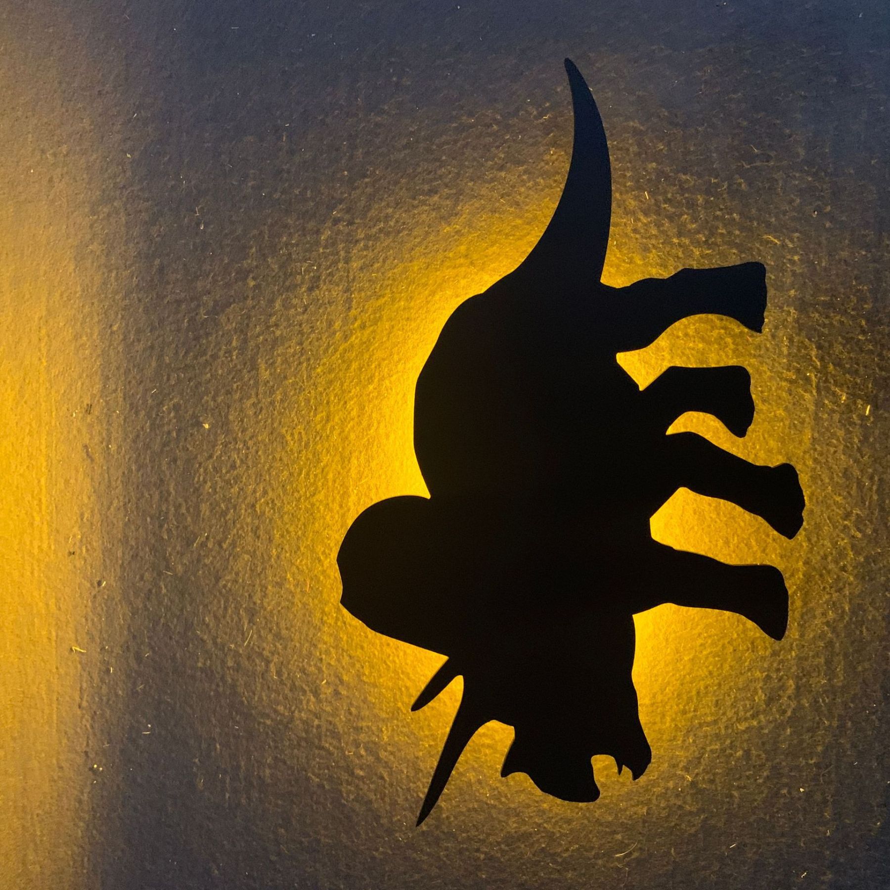 3D Sound Control Projection Lights - Battery or USB Powered