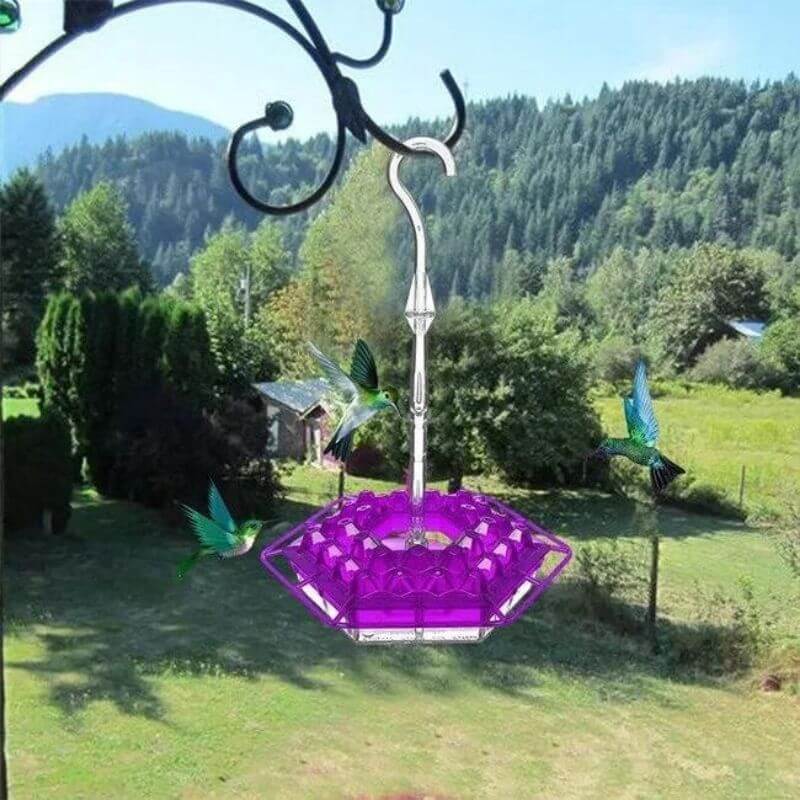 MARY'S HUMMINGBIRD FEEDER WITH PERCH AND BUILT-IN ANT MOAT