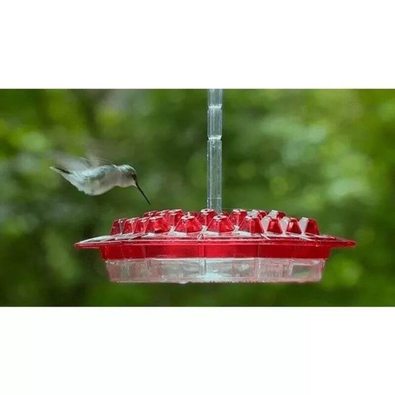 MARY'S HUMMINGBIRD FEEDER WITH PERCH AND BUILT-IN ANT MOAT