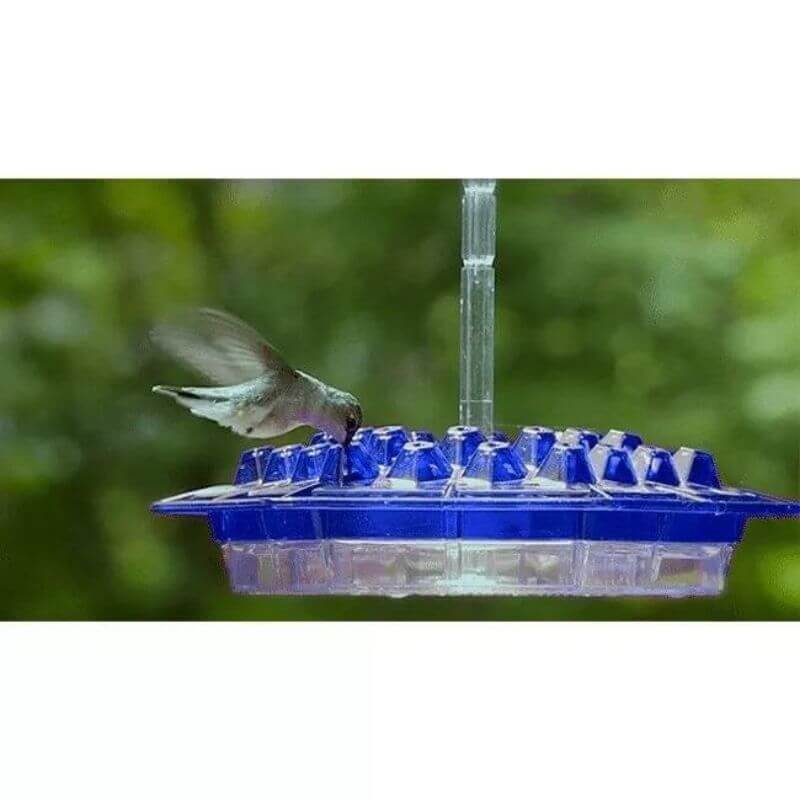 MARY'S HUMMINGBIRD FEEDER WITH PERCH AND BUILT-IN ANT MOAT
