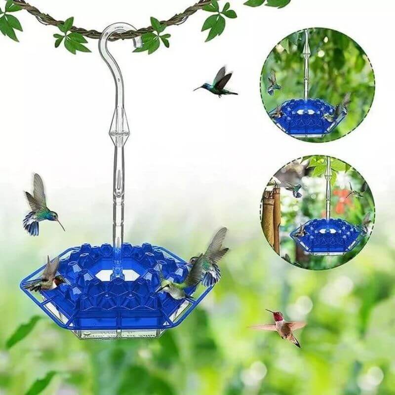 MARY'S HUMMINGBIRD FEEDER WITH PERCH AND BUILT-IN ANT MOAT