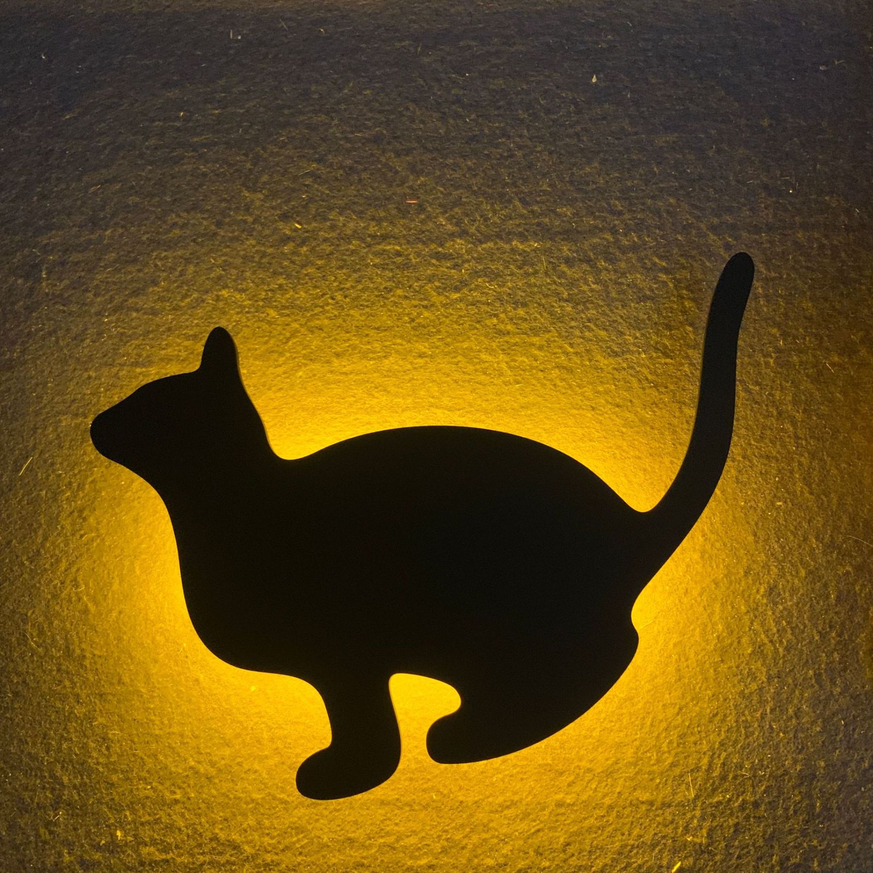 3D Sound Control Projection Lights - Battery or USB Powered