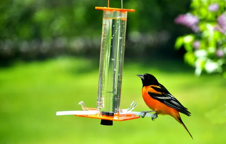 Peter's Hummingbird Feeder