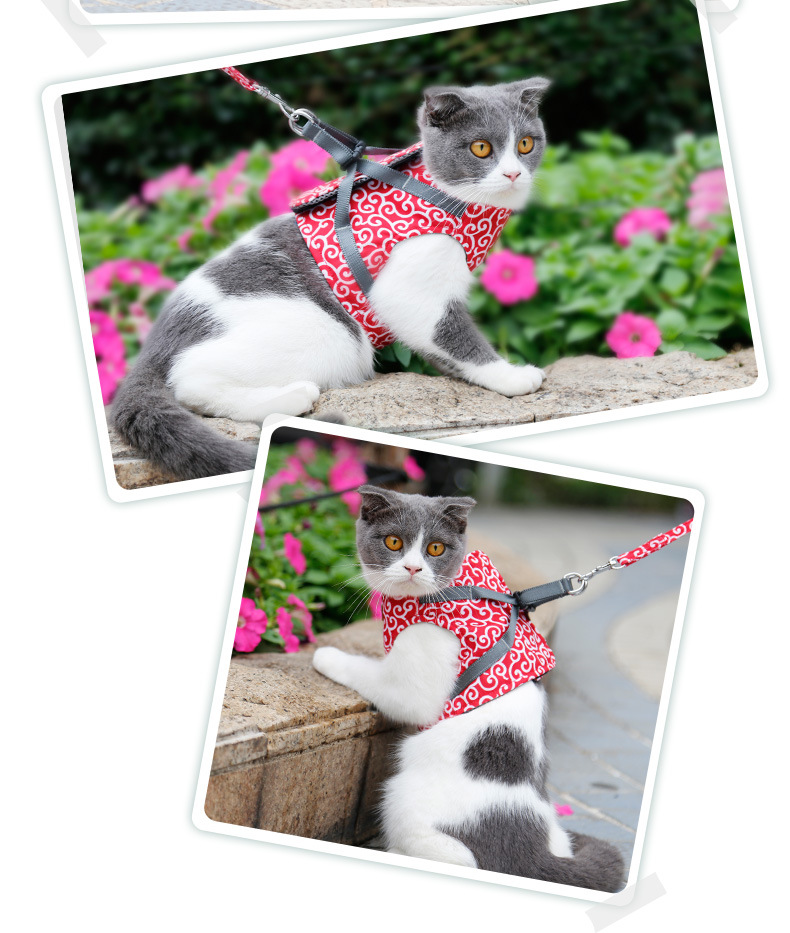 PC60029-唐草图案猫咪胸背套_16.jpg