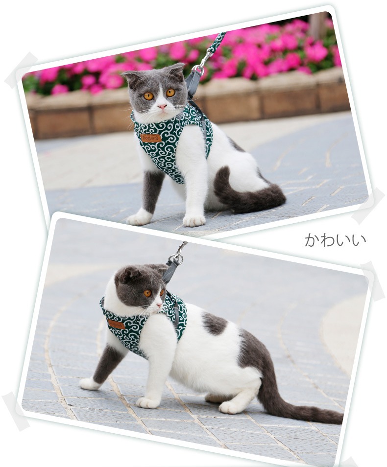 PC60029-唐草图案猫咪胸背套_14.jpg