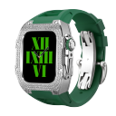 Vintage green strap + silver cover