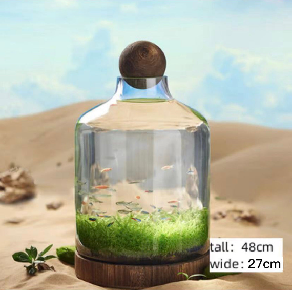 Ecological fish bottle, mini plant