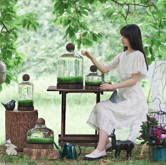 Ecological fish bottle, mini plant