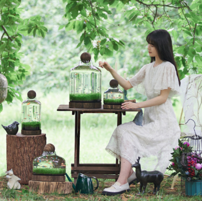 Ecological fish bottle, mini plant