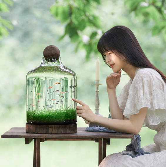 Ecological fish bottle, mini plant