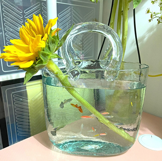 Handbag fish tank