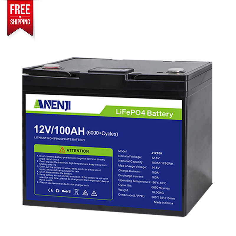 PANENJI 12V 100ah Lithium Iron Phosphate Battery Lifepo4 100ah 1.2KWH
