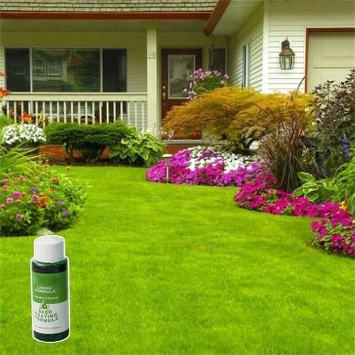 🔥Last Day Save 49% 0FF -🧊Hot Sale Green Grass Lawn Spray-ONLY $9.99!!!