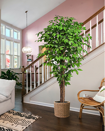 Keeplush 6.2ft Ficus Artificial Tree Plant Fake Tree Lush in Pot Tall