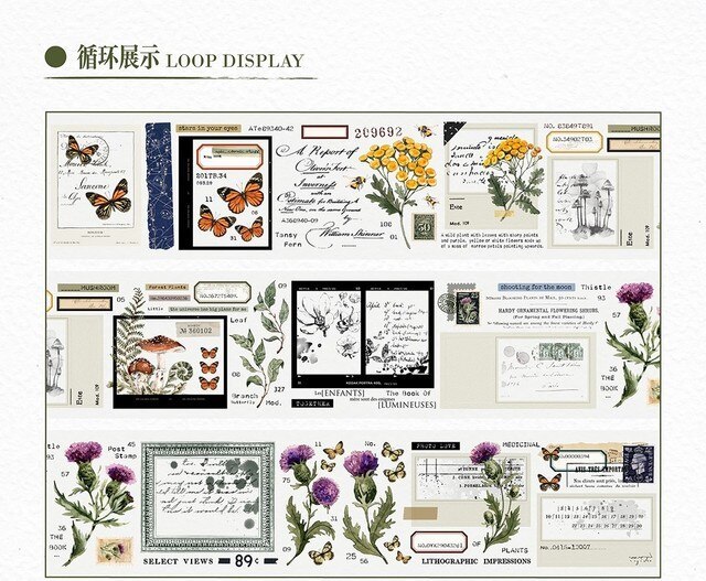 1 Loop new Vintage Plants Journal Decoration PET Tape Mooka Studio-JournalTale
