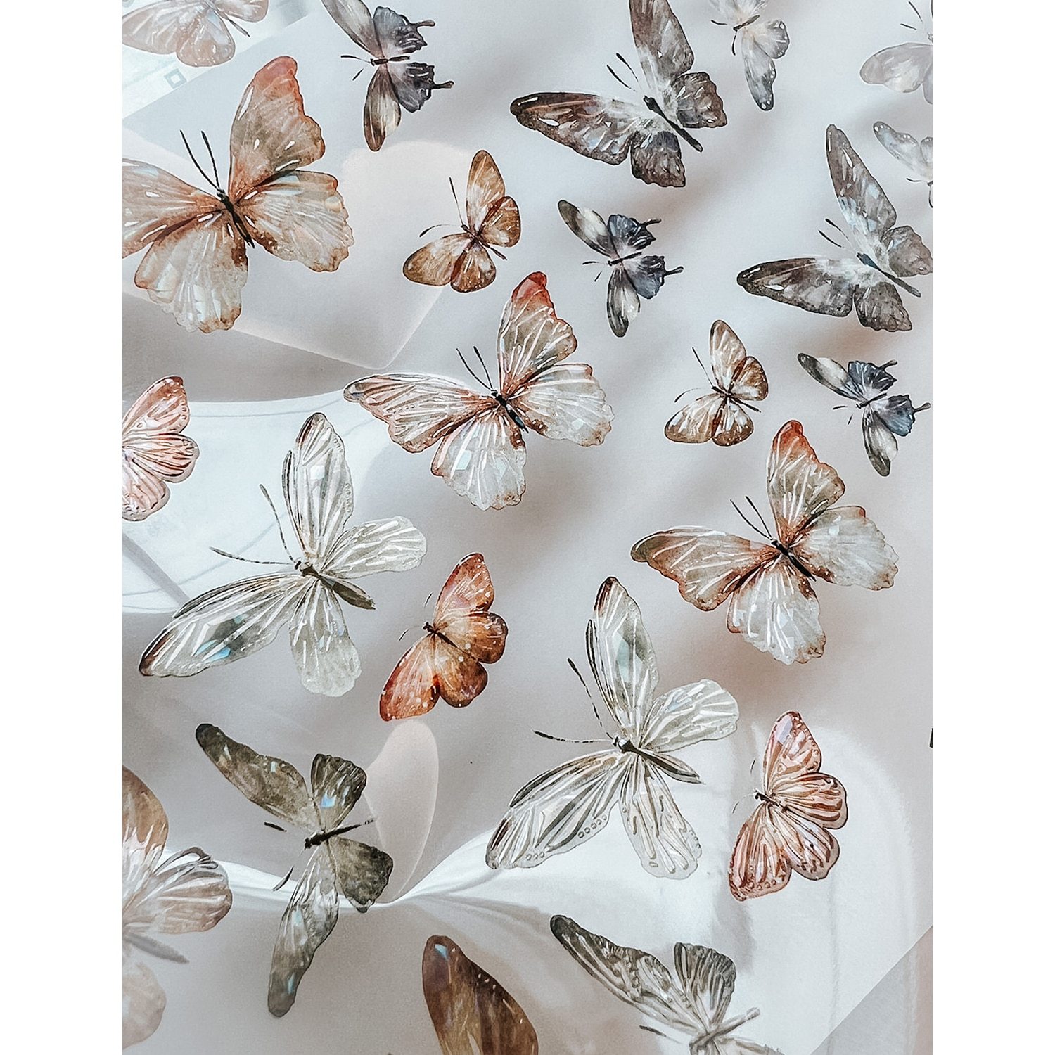 1 Loop Taiwan Meow Collection Floral Washi PET Tape-JournalTale