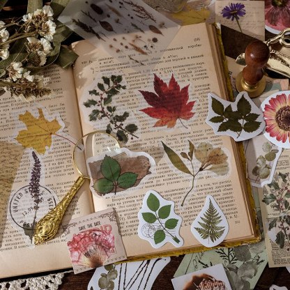 60pcs/boxed Vintage Boxed Stickers for Scrapbooking-JournalTale