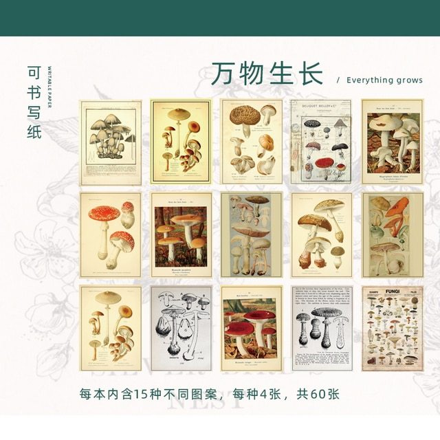 60Pcs Time Book Series Vintage Writable Material Paper-JournalTale
