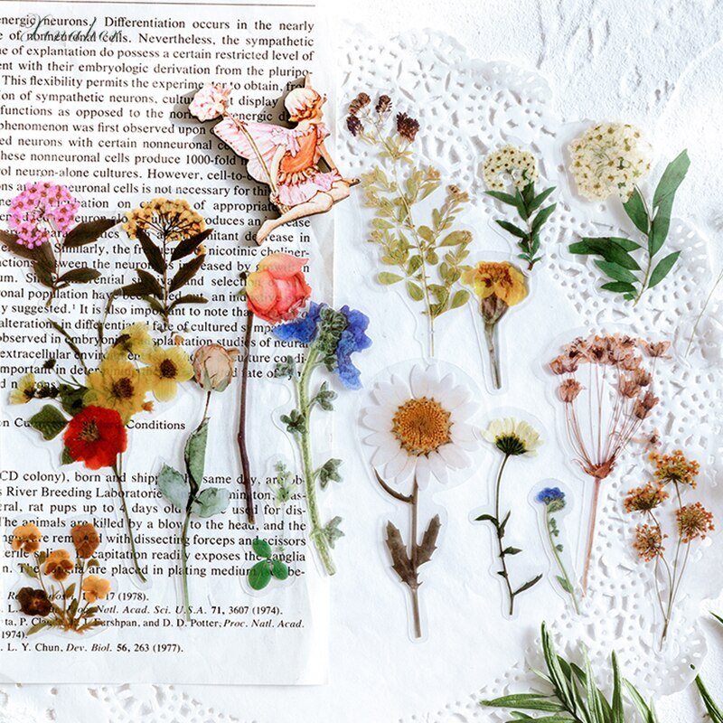 40pcs/bag Vintage leaves flowers PET sticker package-JournalTale