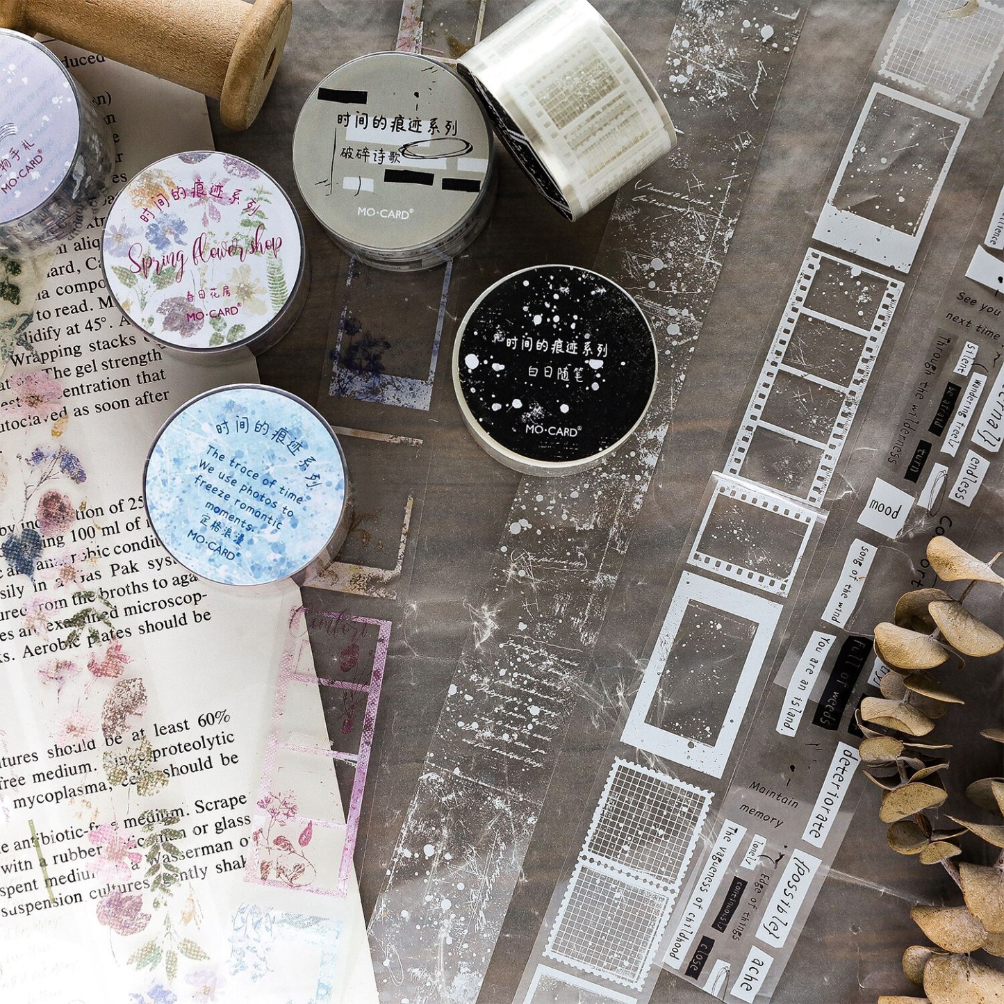 25mm*2m Ins PET Tapes DIY Scrapbooking Materials-JournalTale