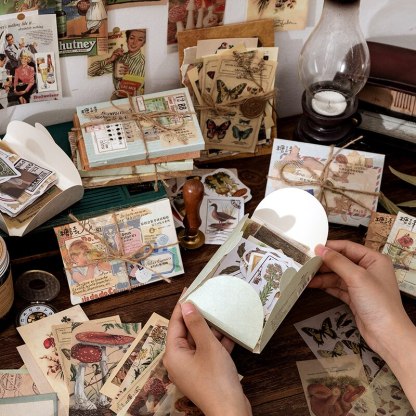 60pcs/boxed Vintage Boxed Stickers for Scrapbooking-JournalTale