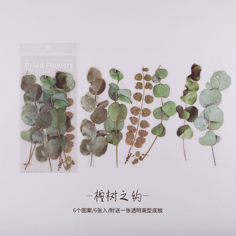 6pcs Vintage Dried Flowers Eucalyptus leaves PET sticker-JournalTale