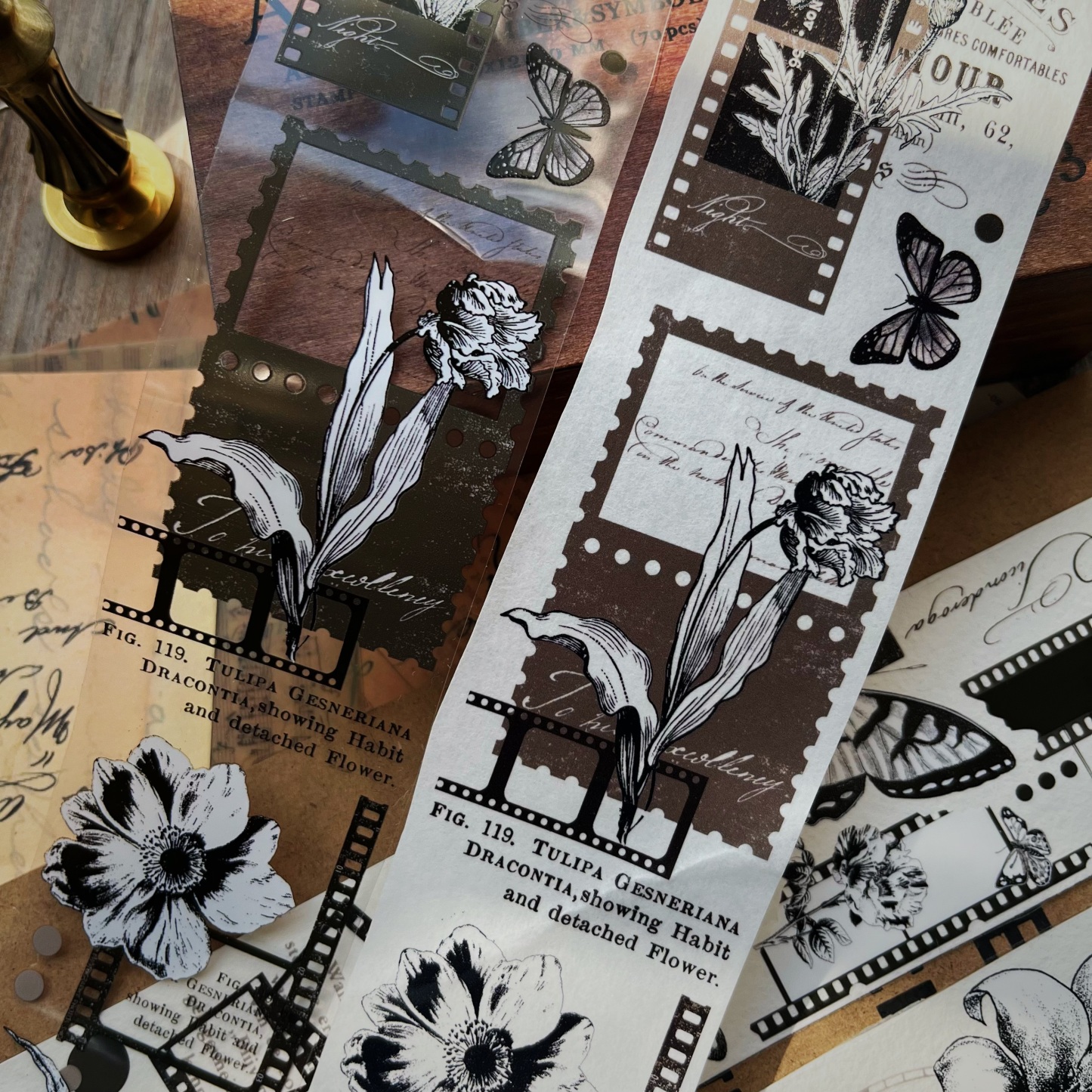 Film retro hand account washi tape sticker pet-JournalTale