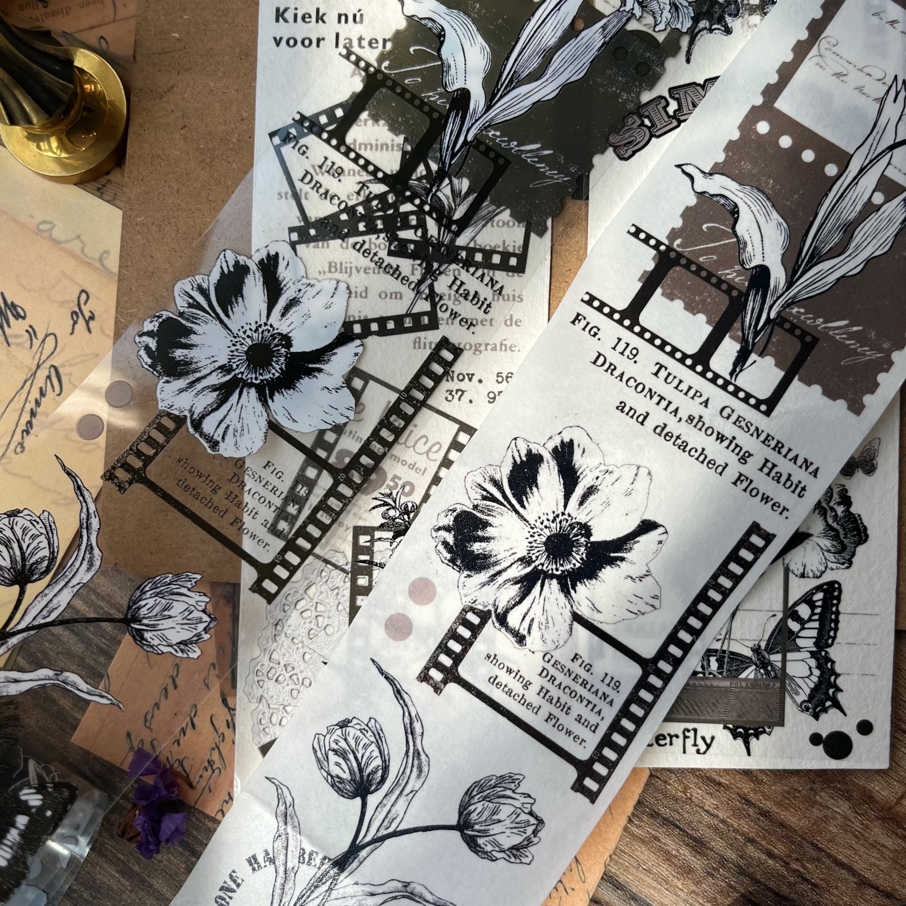 Film retro hand account washi tape sticker pet-JournalTale