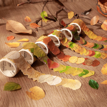 8 Styles Aesthetic Leaves Washi Tape-JournalTale