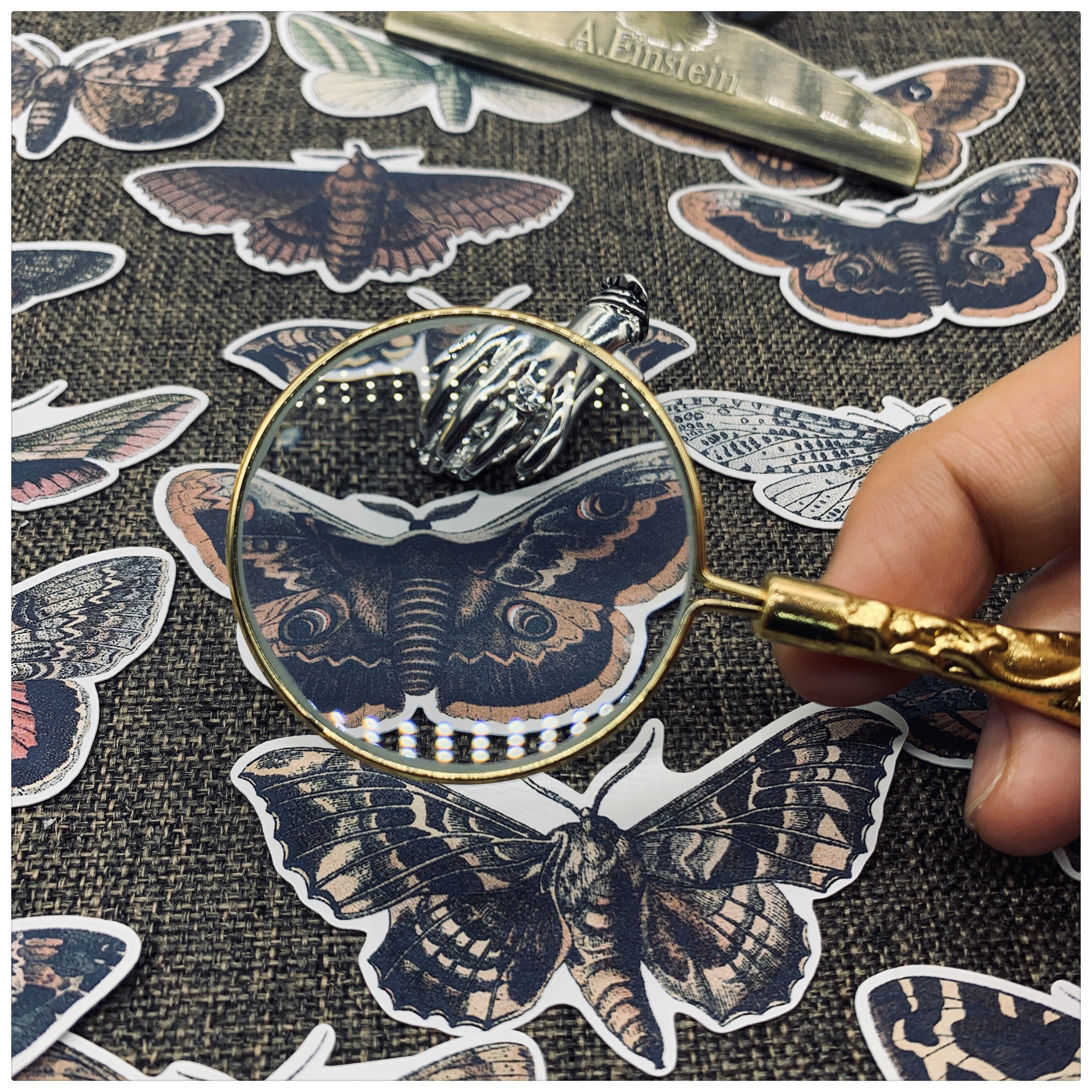 Vintage Black Moth Stickers Junk Journal Diary Planner-JournalTale