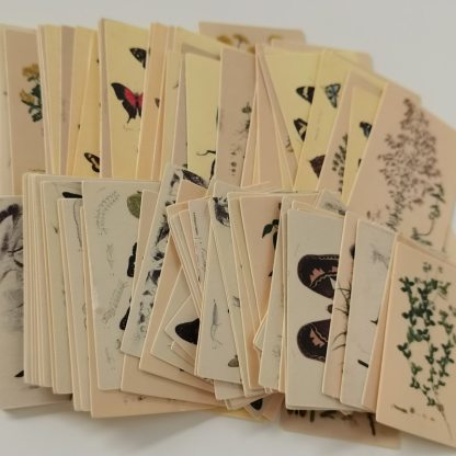 100pcs Vintage Plant Butterfly Material Paper-JournalTale