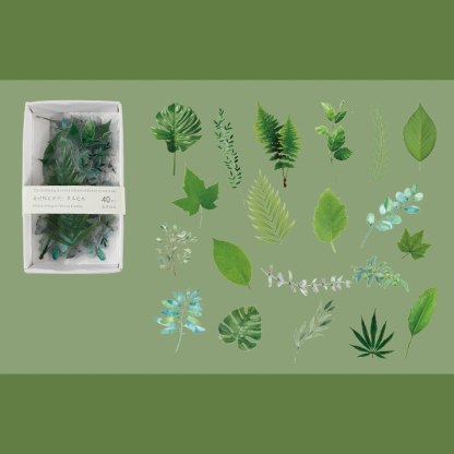 40Pcs Vintage Flower Plant Scrapbooking PET Stickers-JournalTale