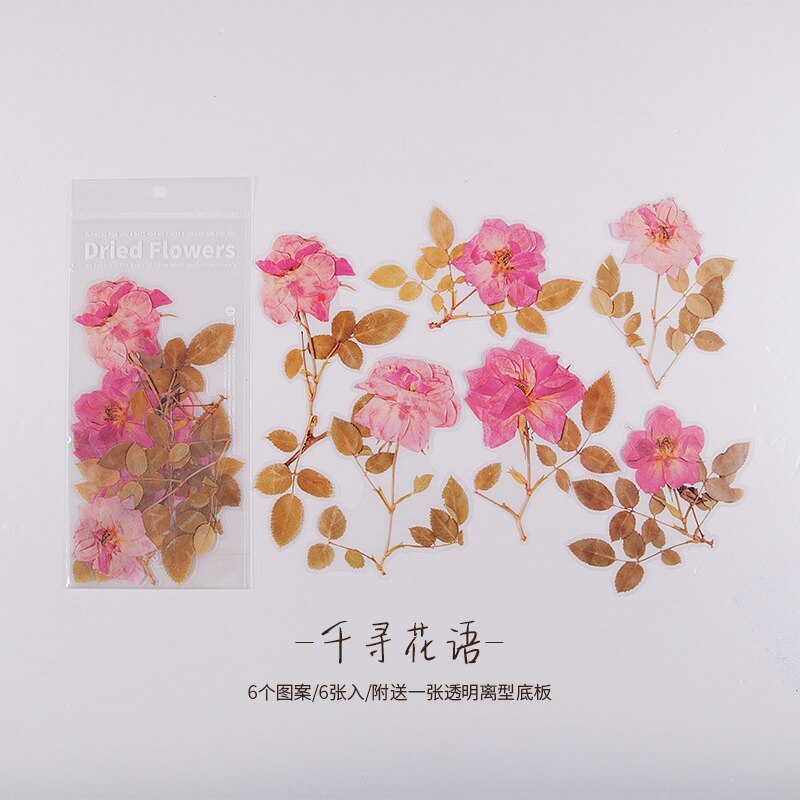 6pcs Vintage Dried Flowers Eucalyptus leaves PET sticker-JournalTale