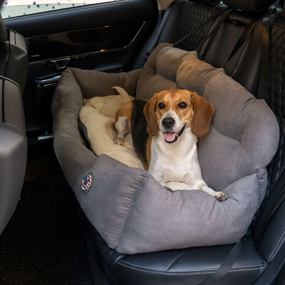 how do you travel with a large dog in a car