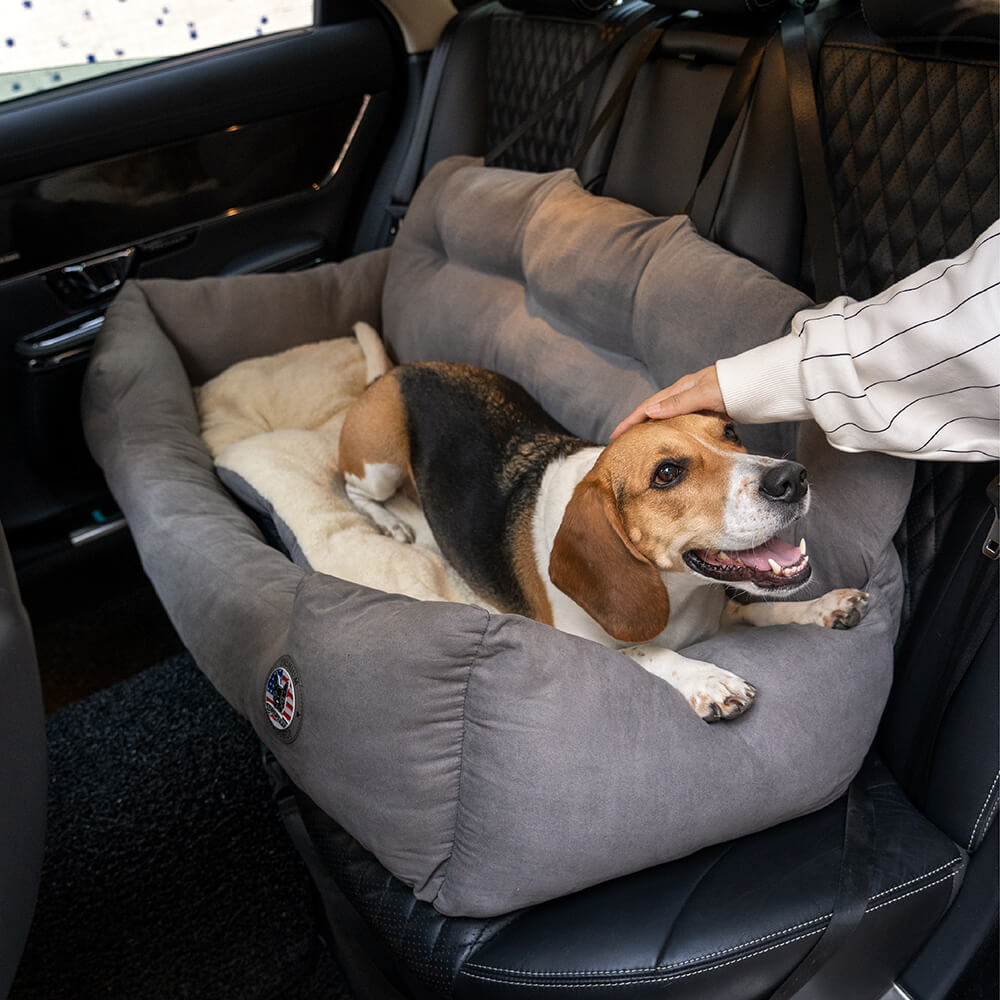 how do you travel with a large dog in a car