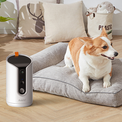 Meowant Dog Treat Dispenser with 2K Camera