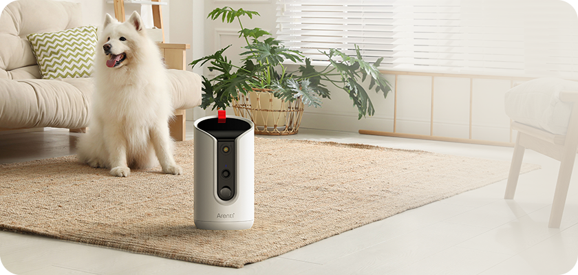 arenti cloud storage