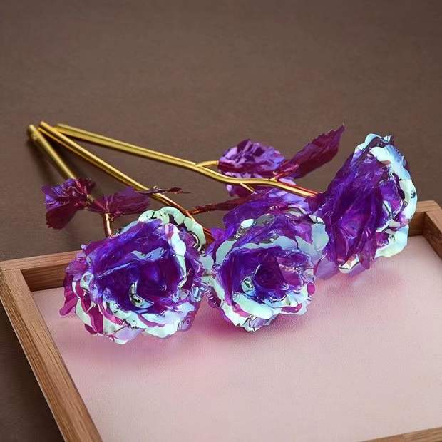 Galaxy Forever Rose