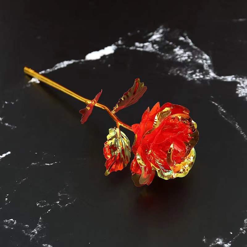 Galaxy Forever Rose