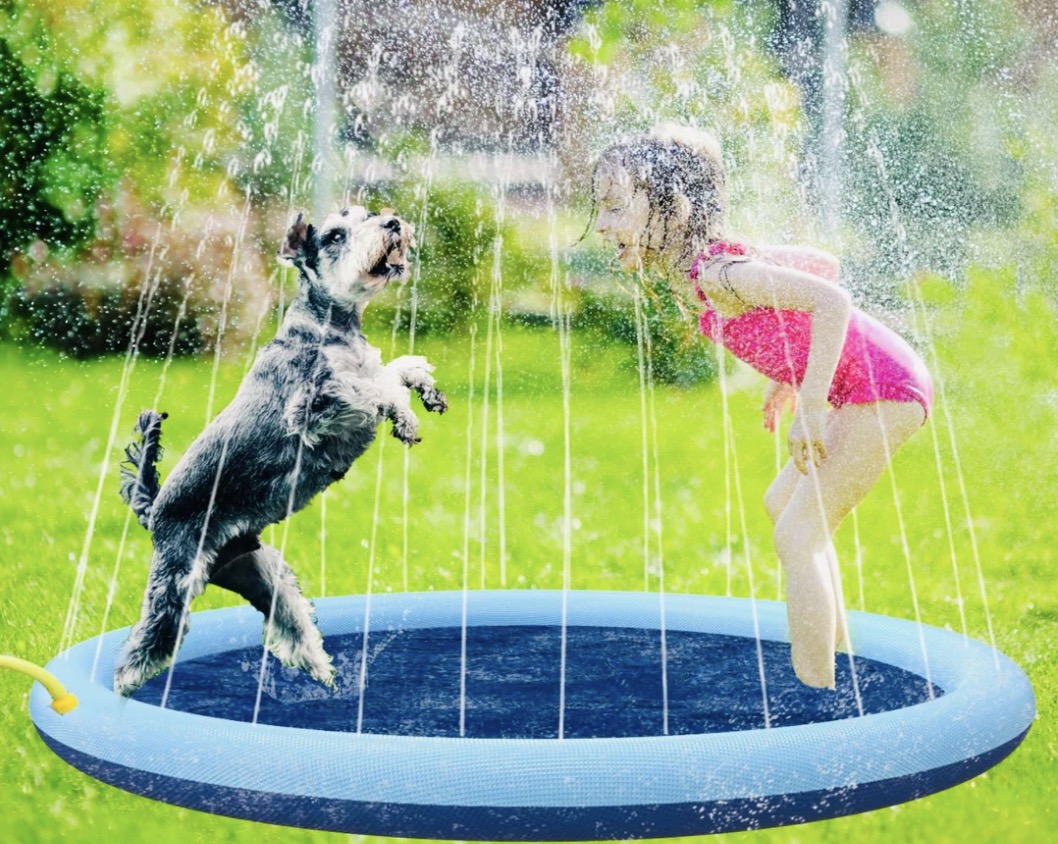Best Splash Pads for Dogs Aquapaws Splash™！