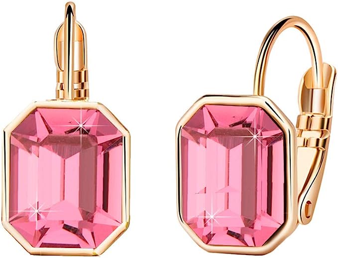 S925 Barbiecore Octagon Leverback Drop Earrings